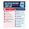 2027 Arizona Labor Law Poster | State, Federal & OSHA