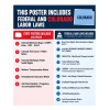2027 Colorado Labor Law Poster | State, Federal & OSHA
