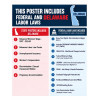 2027 Delaware Labor Law Poster | State, Federal & OSHA