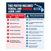 2027 Hawaii Labor Law Poster | State, Federal & OSHA