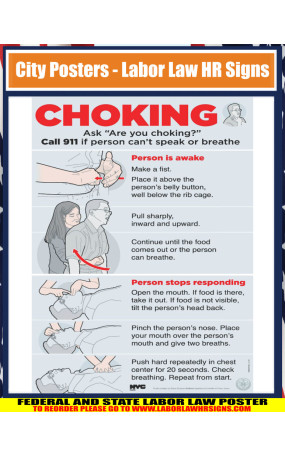 New york - New york city choke poster City Poster