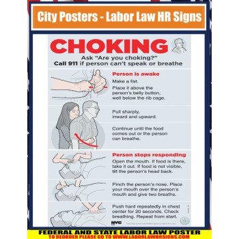 New york - New york city choke poster City Poster