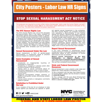 New york - Sexual Harrasment City Poster