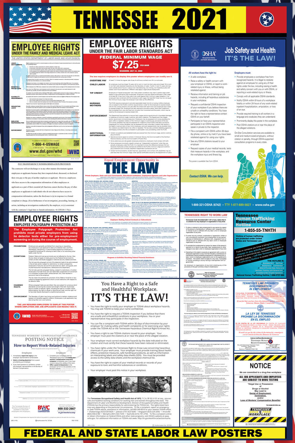 TN main pdf
