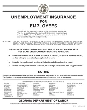 georgia dol small