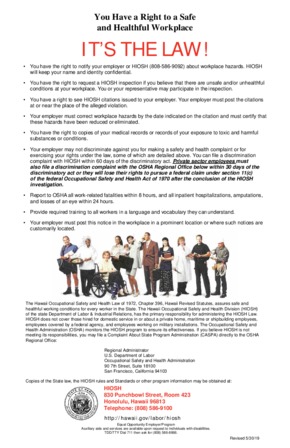 hawaii hiosh poster small